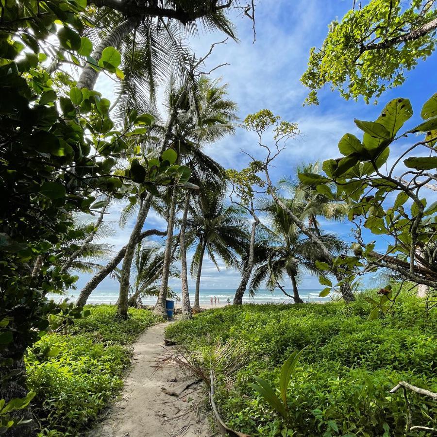 El Chante Surf House Playa Santa Teresa  エクステリア 写真